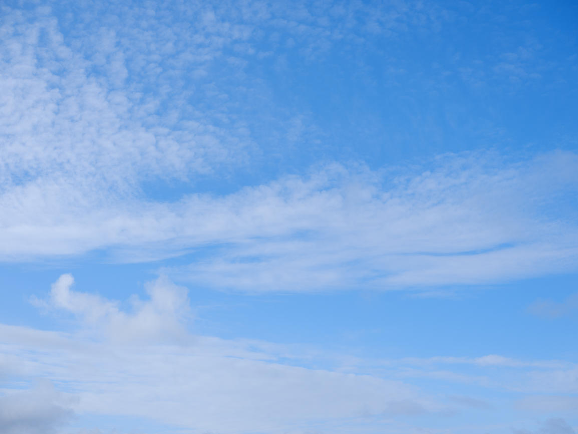 Morning Freshness | Luminar Marketplace(47)