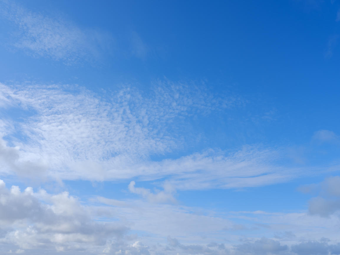 Morning Freshness | Luminar Marketplace(48)