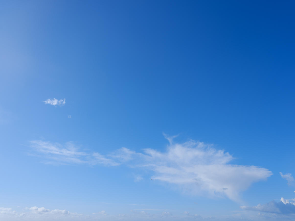 Morning Freshness | Luminar Marketplace(49)