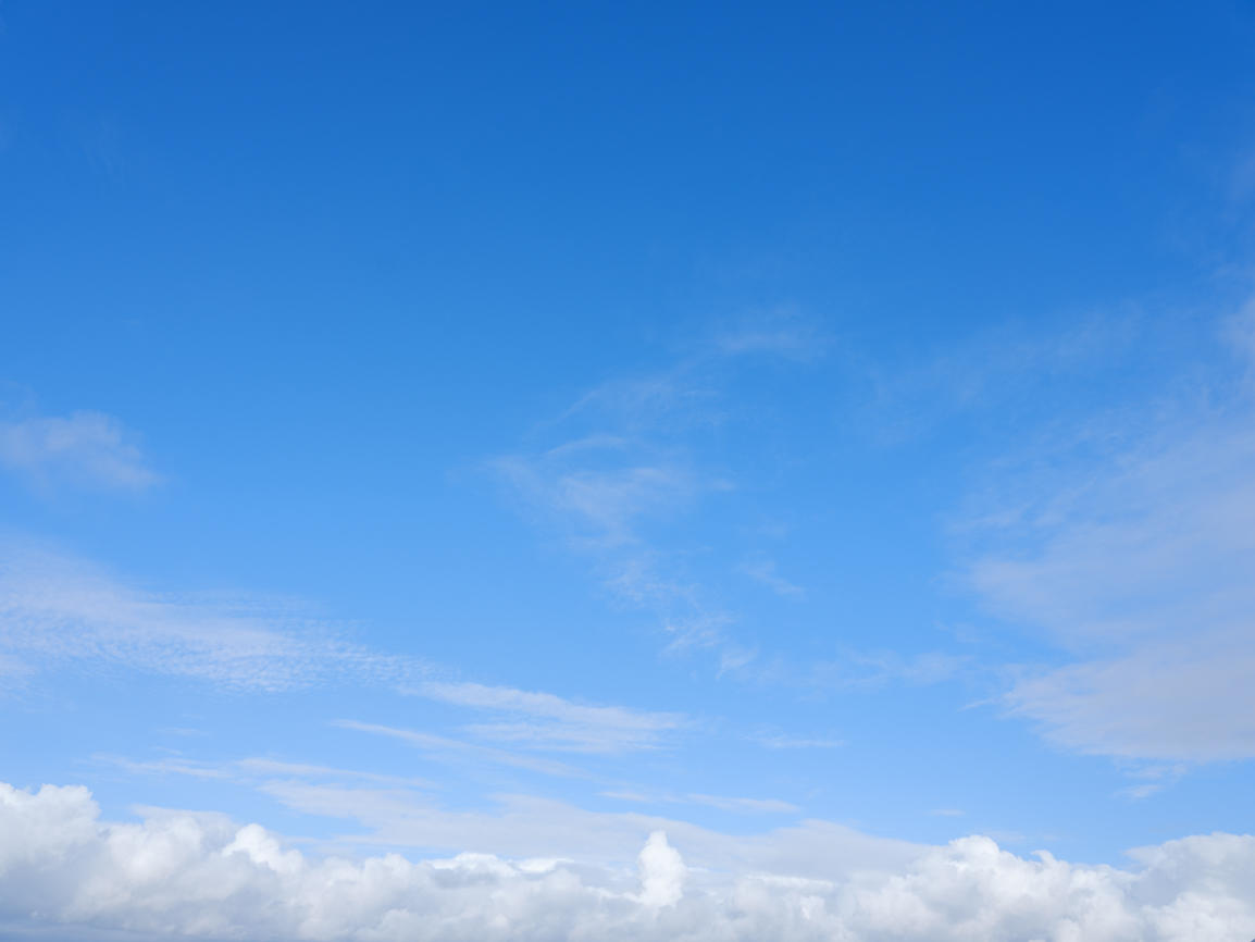 Morning Freshness | Luminar Marketplace(50)