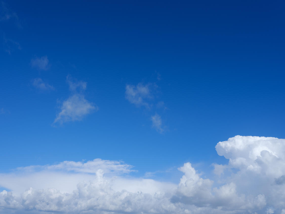 Morning Freshness | Luminar Marketplace(52)