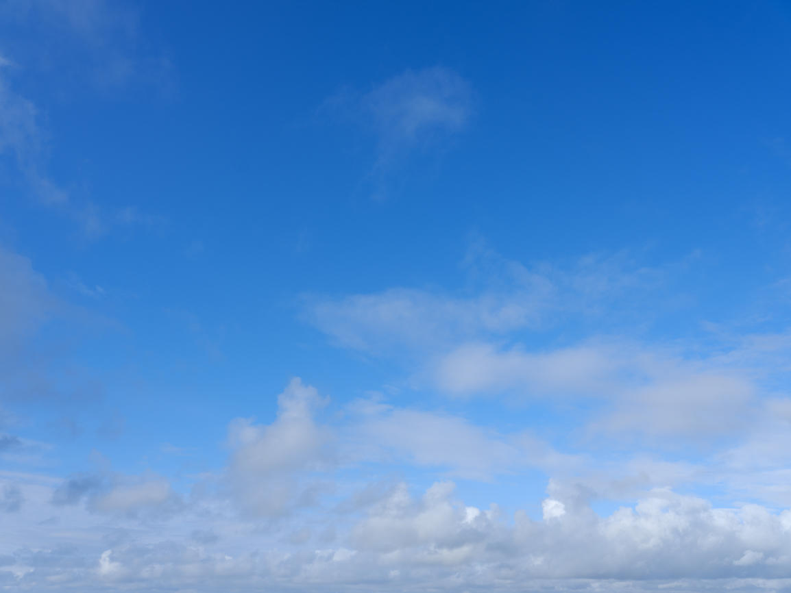 Morning Freshness | Luminar Marketplace(51)