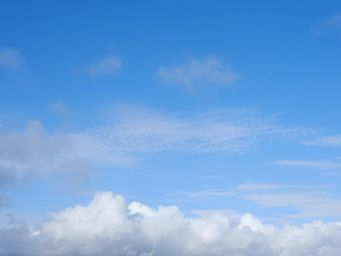 Morning Freshness | Luminar Marketplace(53)