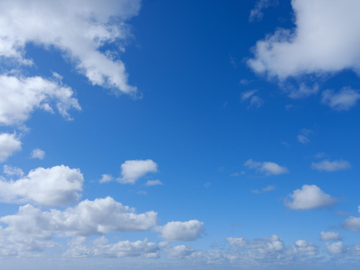 Morning Freshness | Luminar Marketplace(54)