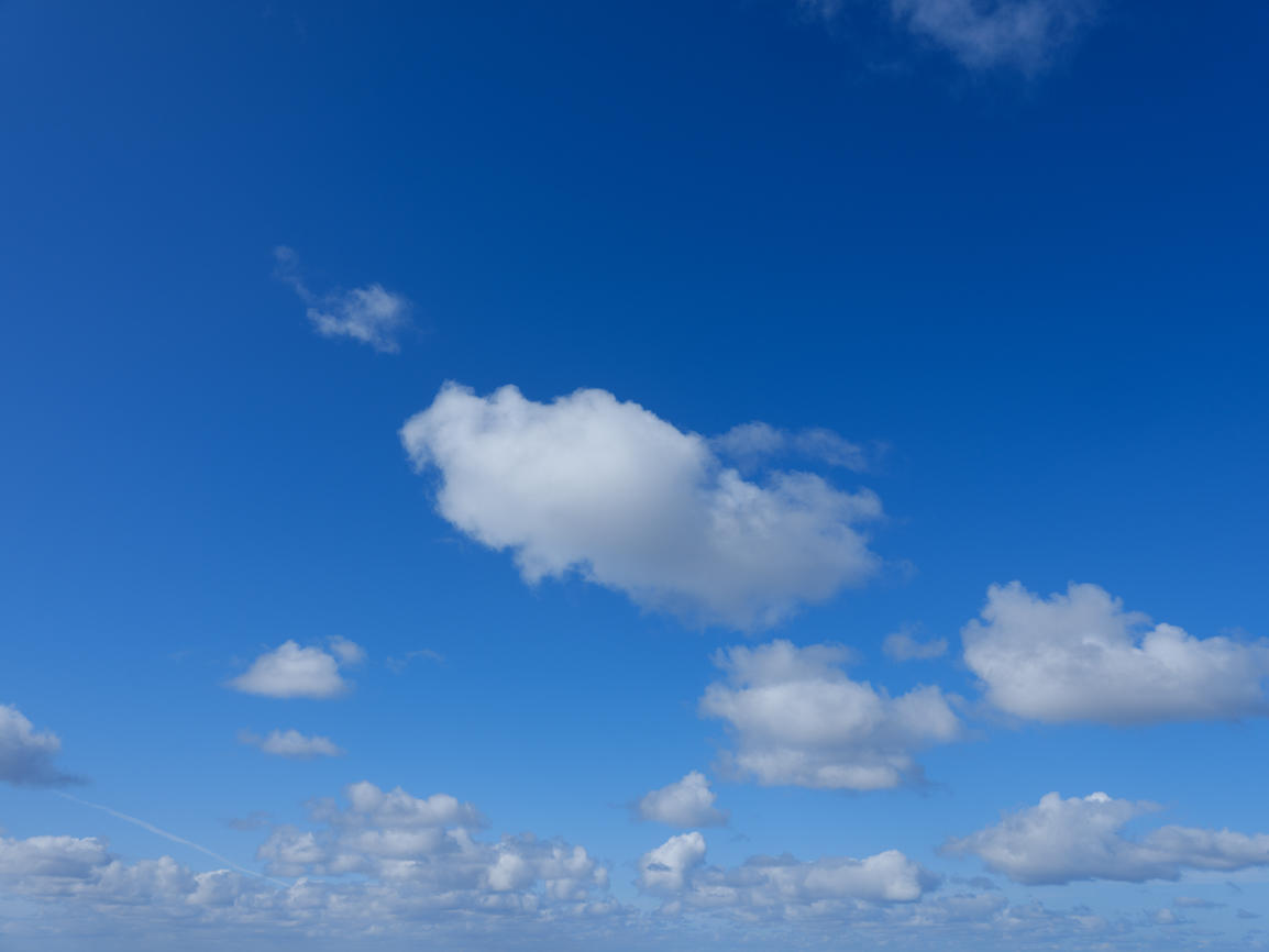 Morning Freshness | Luminar Marketplace(56)