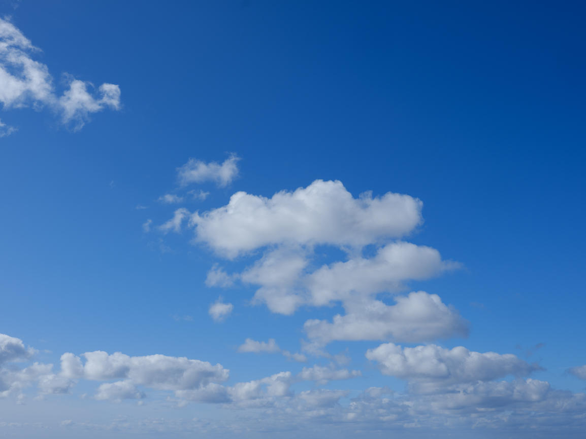 Morning Freshness | Luminar Marketplace(57)