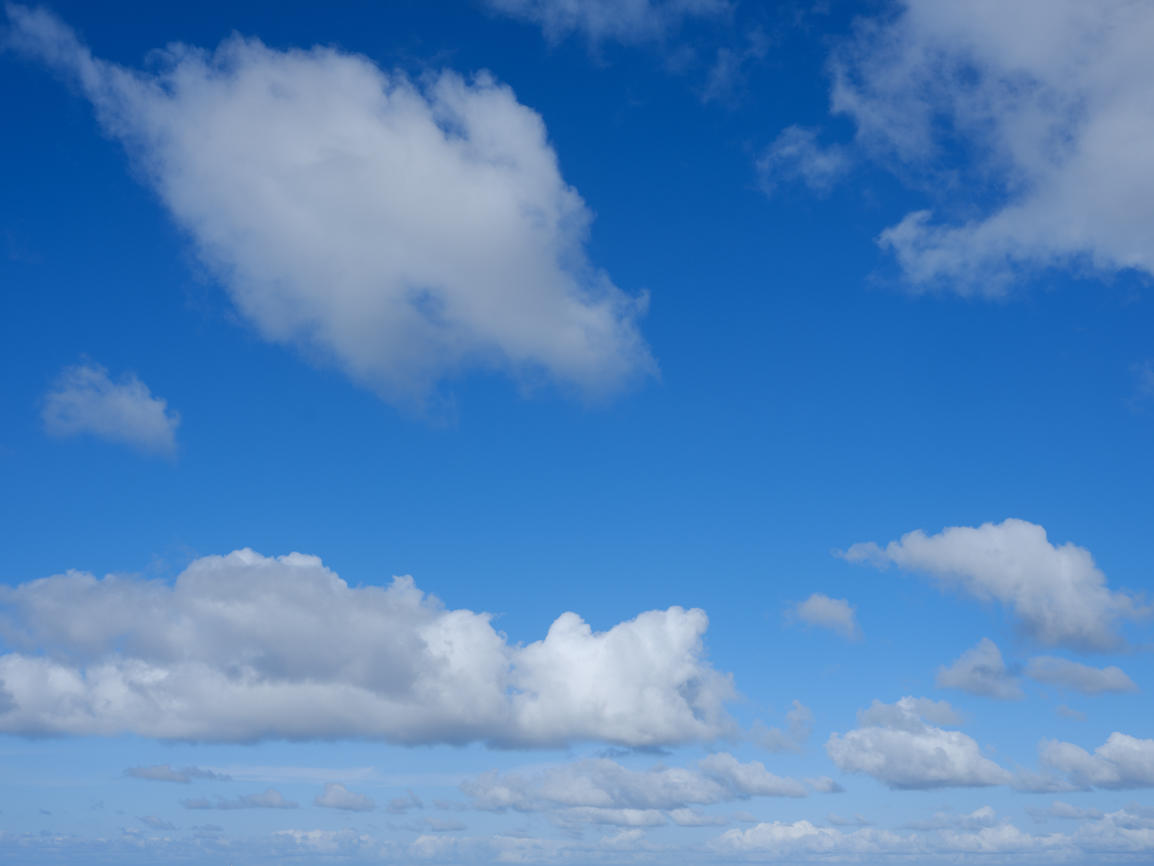 Morning Freshness | Luminar Marketplace(58)