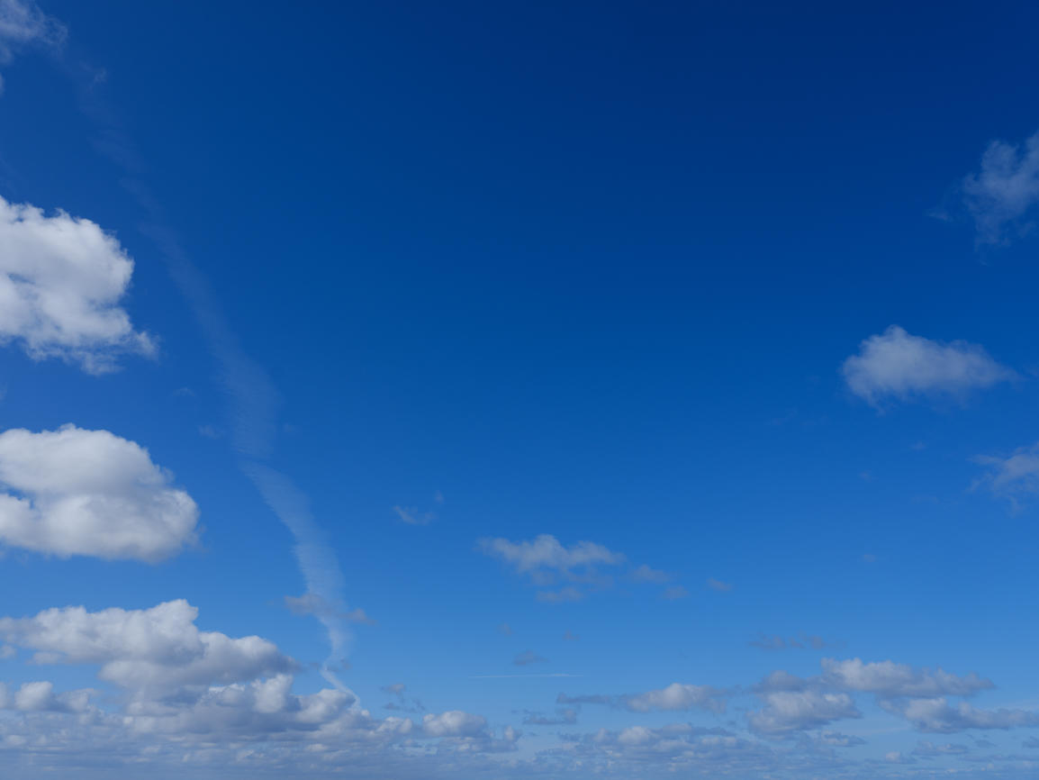 Morning Freshness | Luminar Marketplace(59)