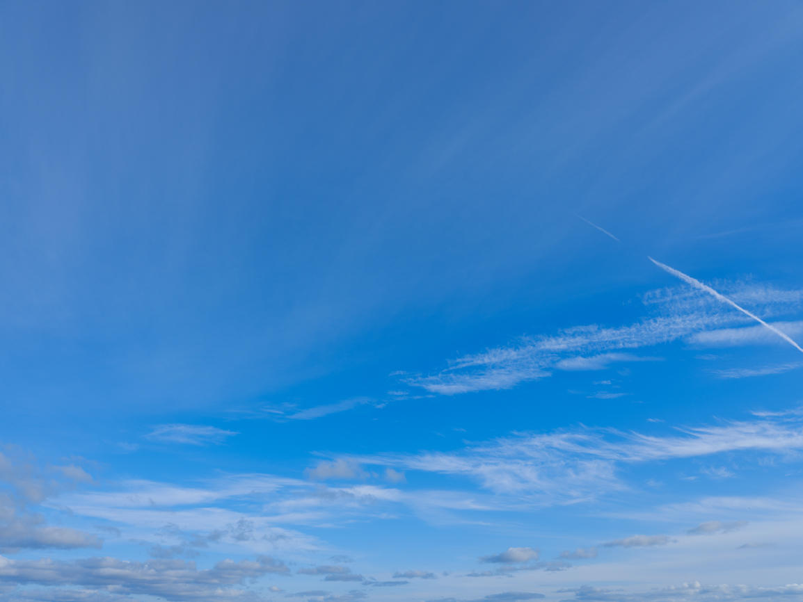 Morning Freshness | Luminar Marketplace(60)