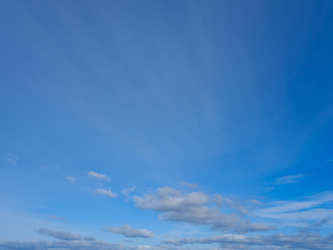 Morning Freshness | Luminar Marketplace(61)