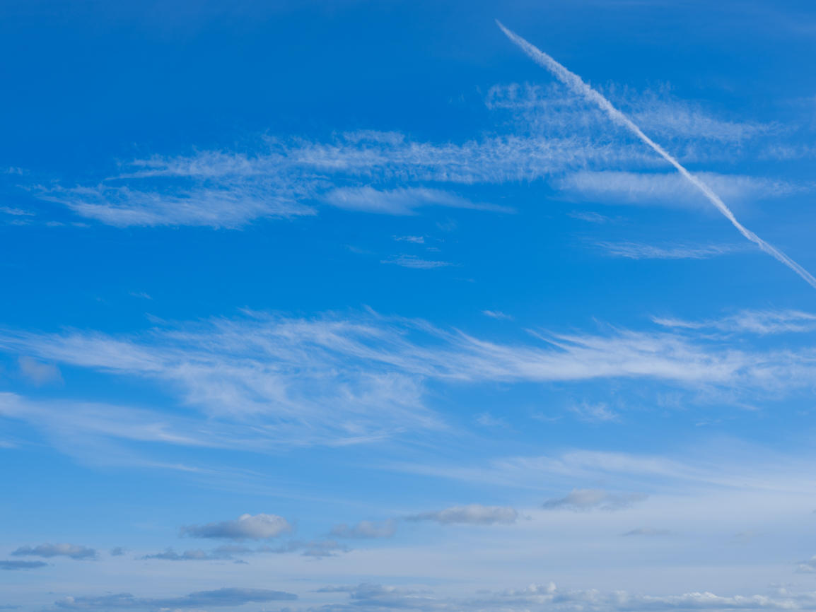 Morning Freshness | Luminar Marketplace(62)