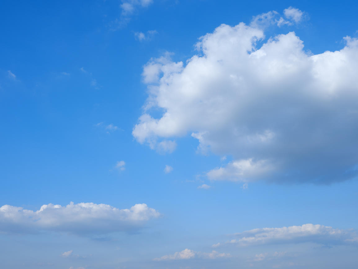 Morning Freshness | Luminar Marketplace(63)