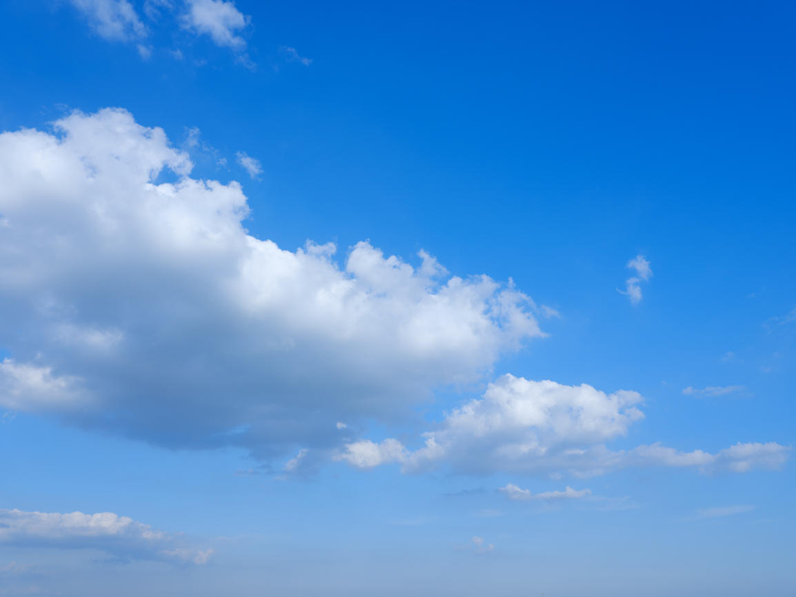 Morning Freshness | Luminar Marketplace(64)