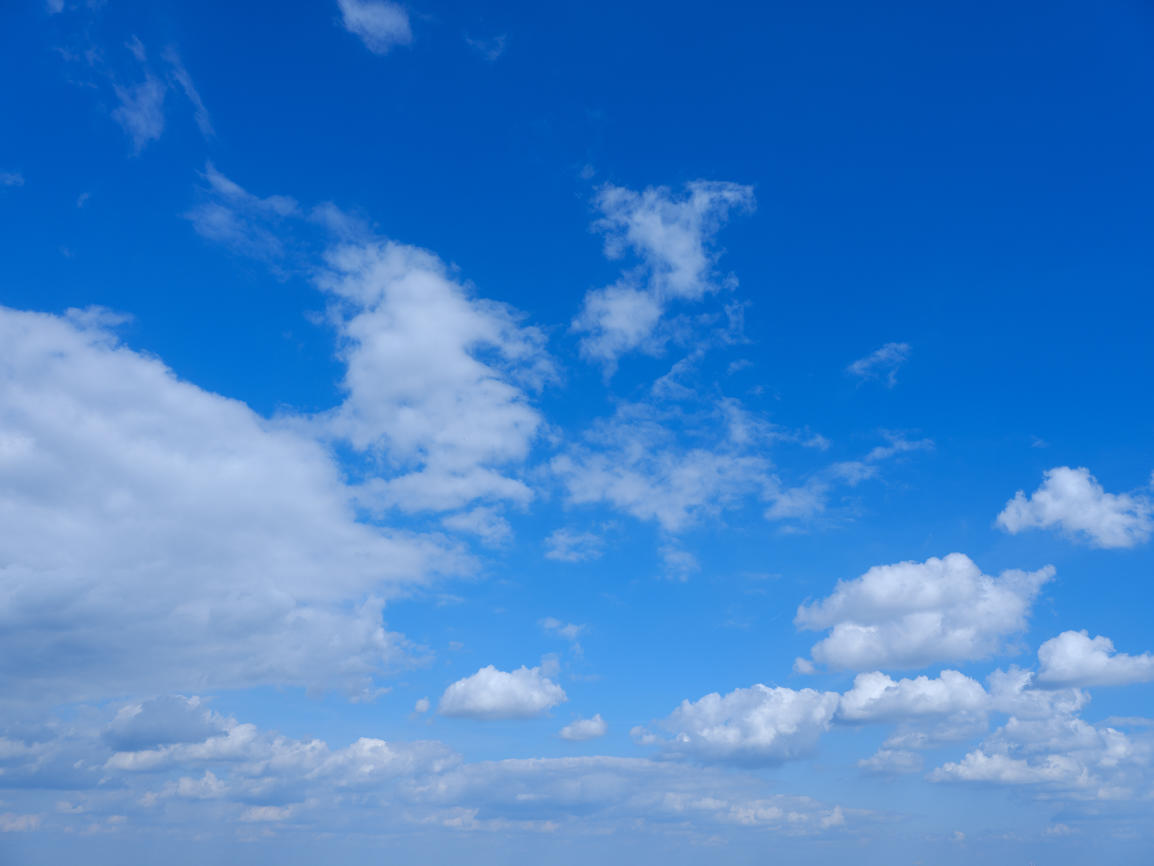 Morning Freshness | Luminar Marketplace(65)