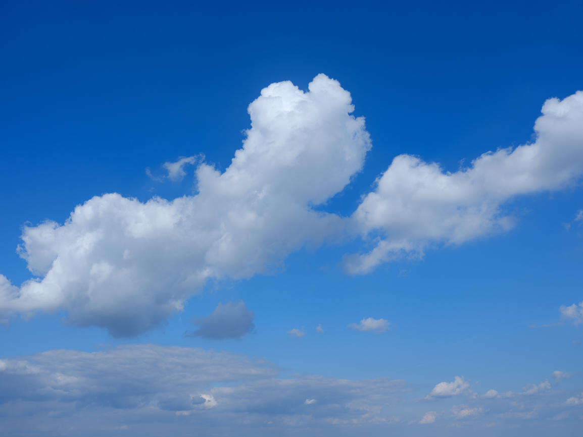 Morning Freshness | Luminar Marketplace(66)