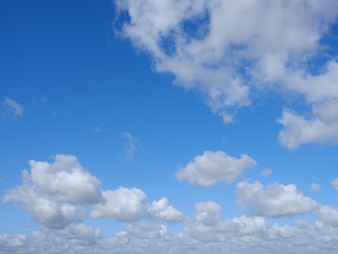 Morning Freshness | Luminar Marketplace(67)