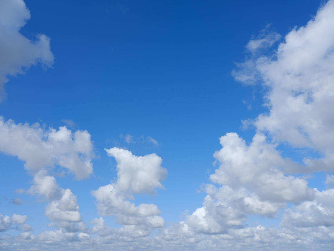 Morning Freshness | Luminar Marketplace(68)