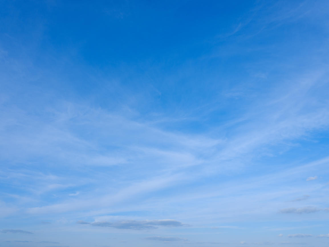 Morning Freshness | Luminar Marketplace(69)