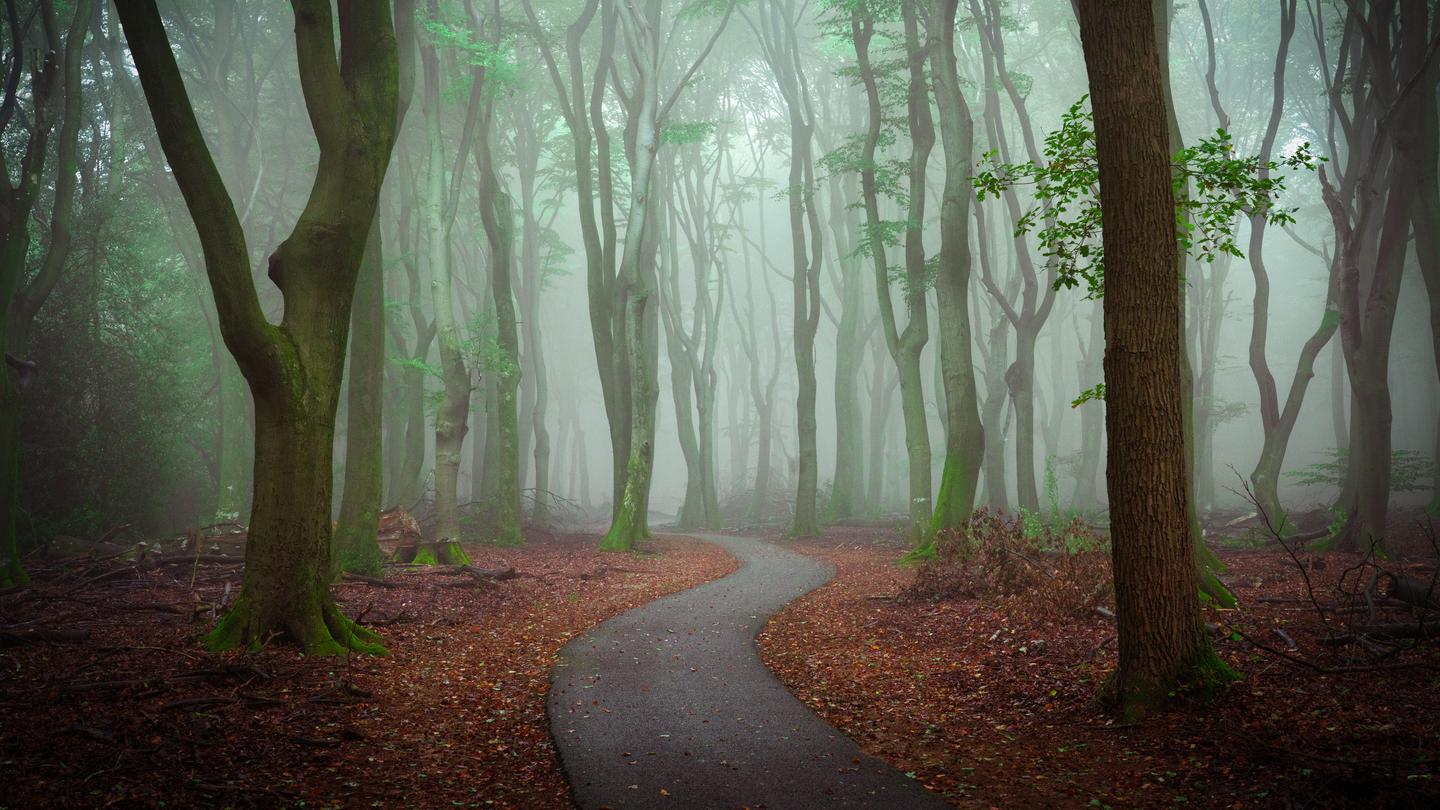 Magical Forests - Part II — slide 3