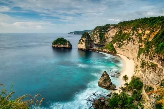 Tropical Vibes image