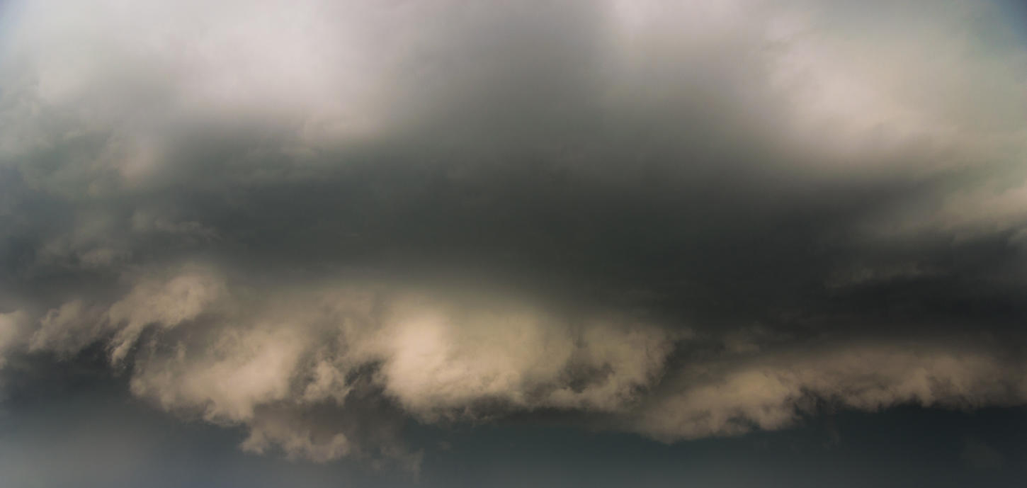 Power of Nature | Luminar Marketplace(45)