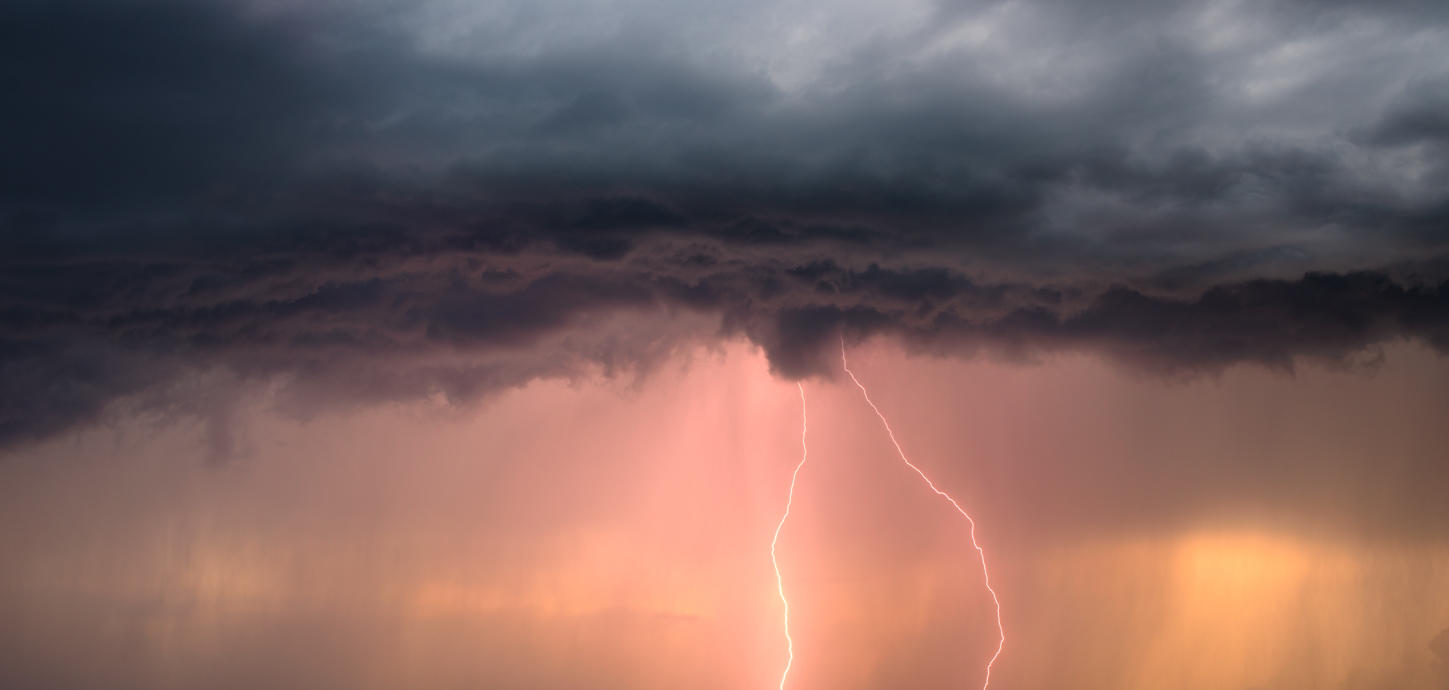 Power of Nature | Luminar Marketplace(46)