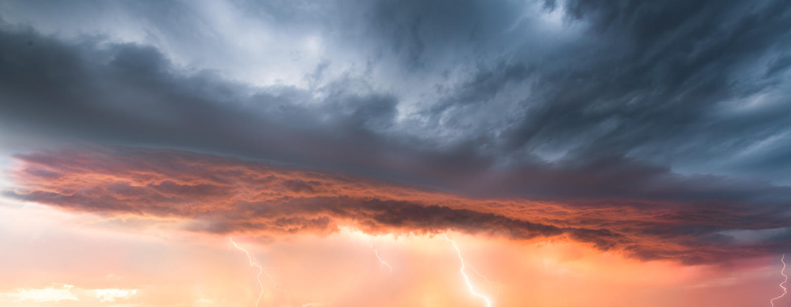 Power of Nature | Luminar Marketplace(48)