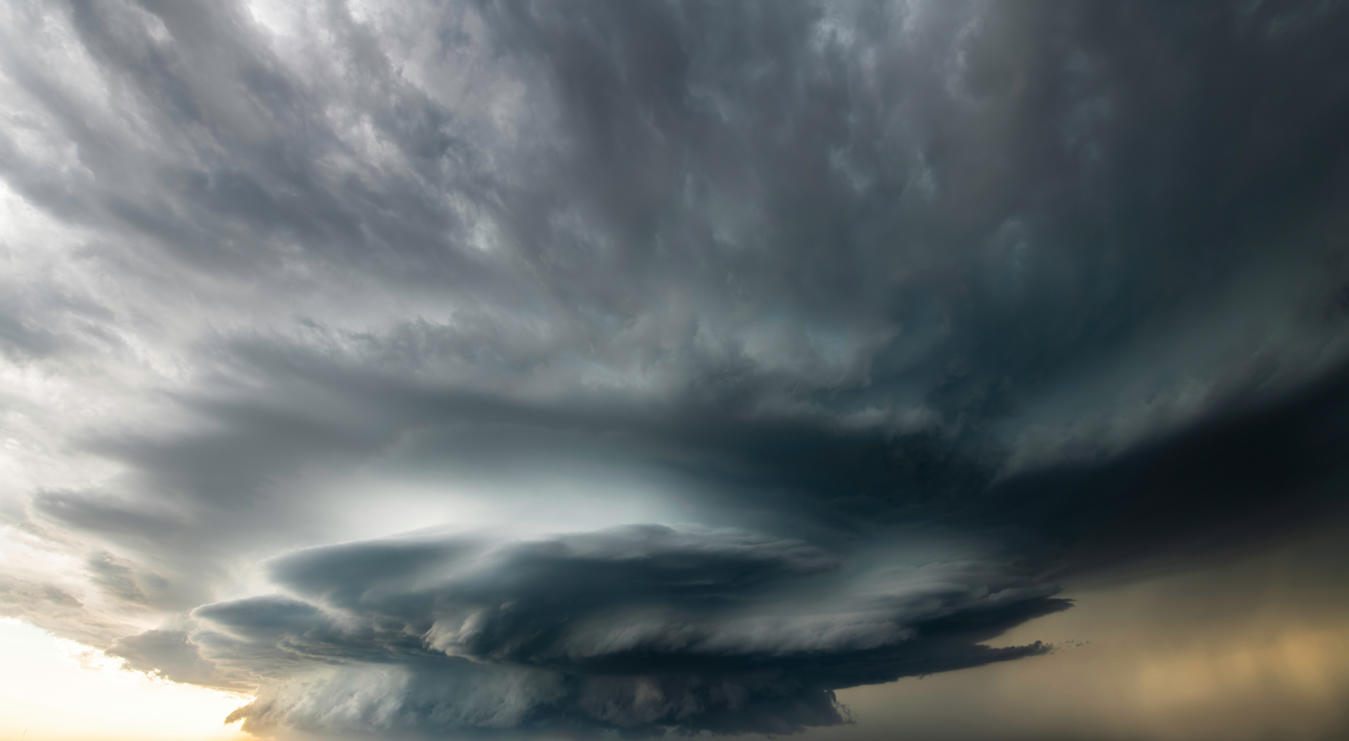 Power of Nature | Luminar Marketplace(51)