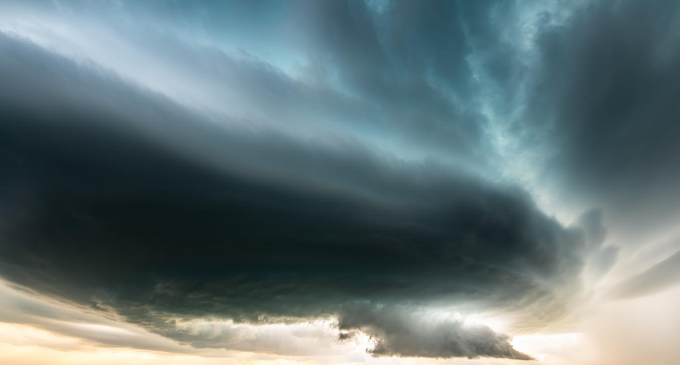 Power of Nature | Luminar Marketplace(52)