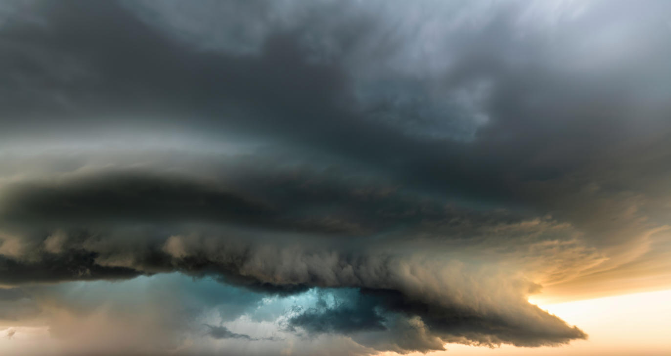 Power of Nature | Luminar Marketplace(54)