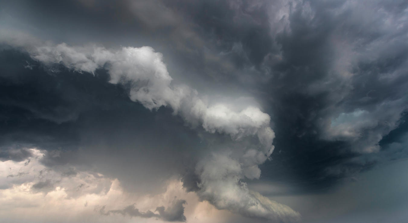 Power of Nature | Luminar Marketplace(55)