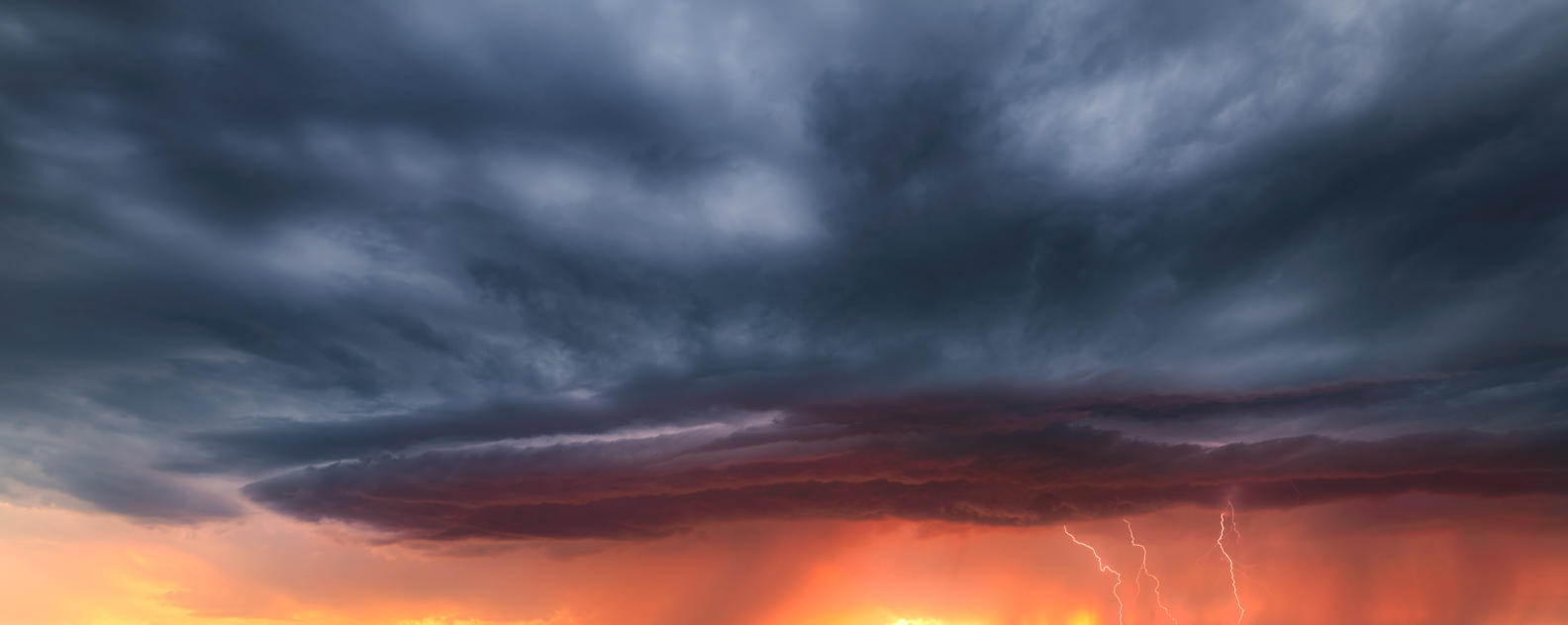 Power of Nature | Luminar Marketplace(58)