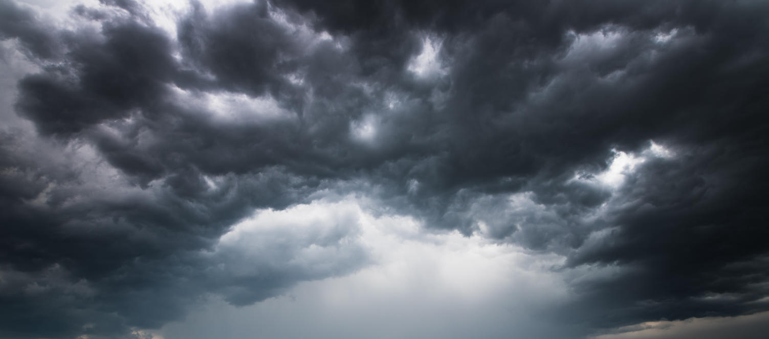 Power of Nature | Luminar Marketplace(57)