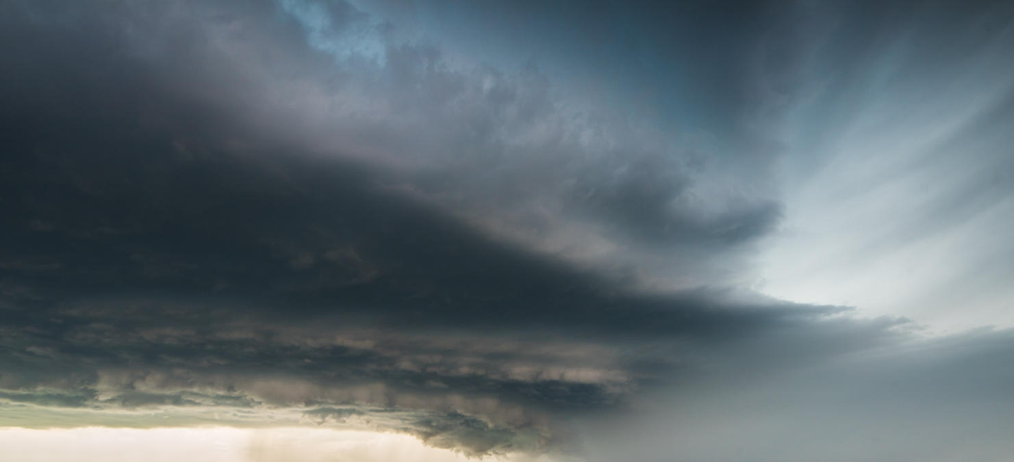 Power of Nature | Luminar Marketplace(59)