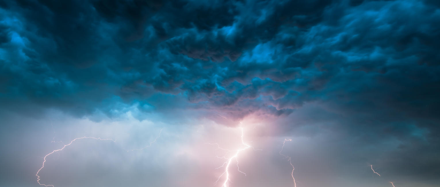 Power of Nature | Luminar Marketplace(60)