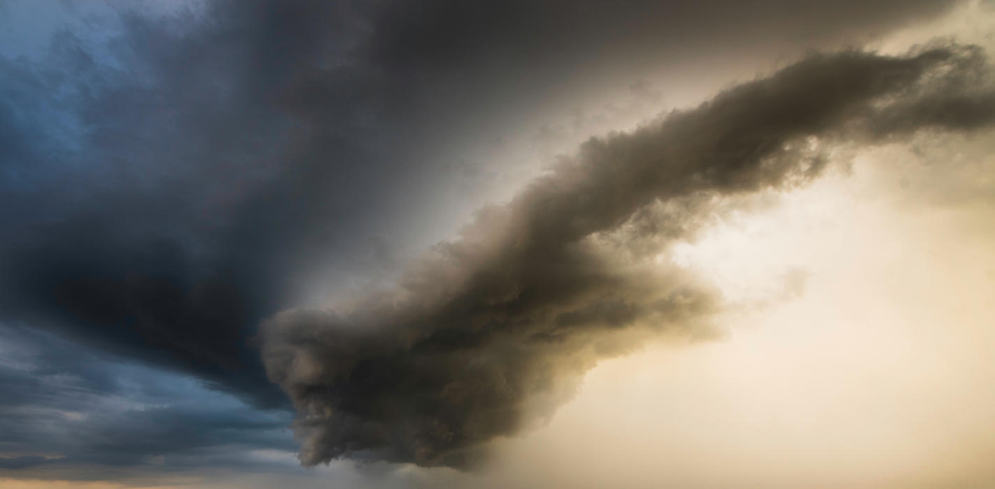 Power of Nature | Luminar Marketplace(61)