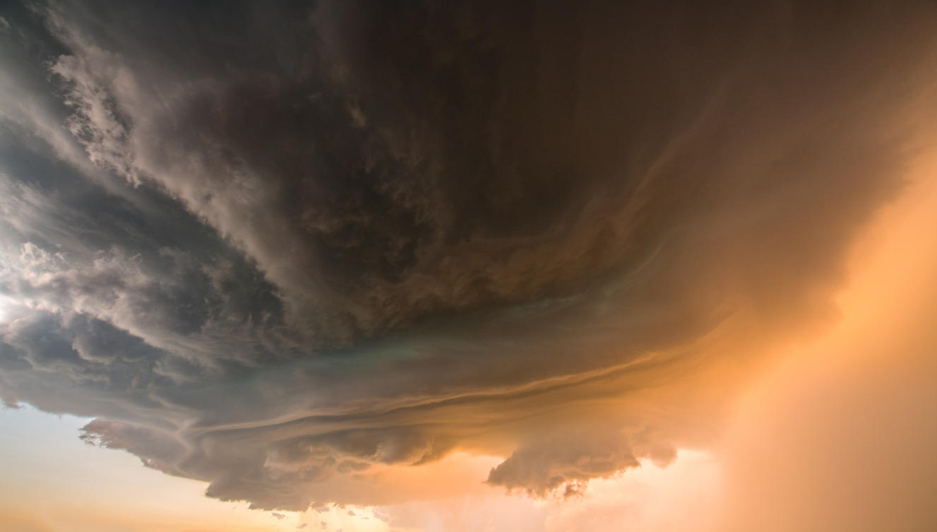 Power of Nature | Luminar Marketplace(63)