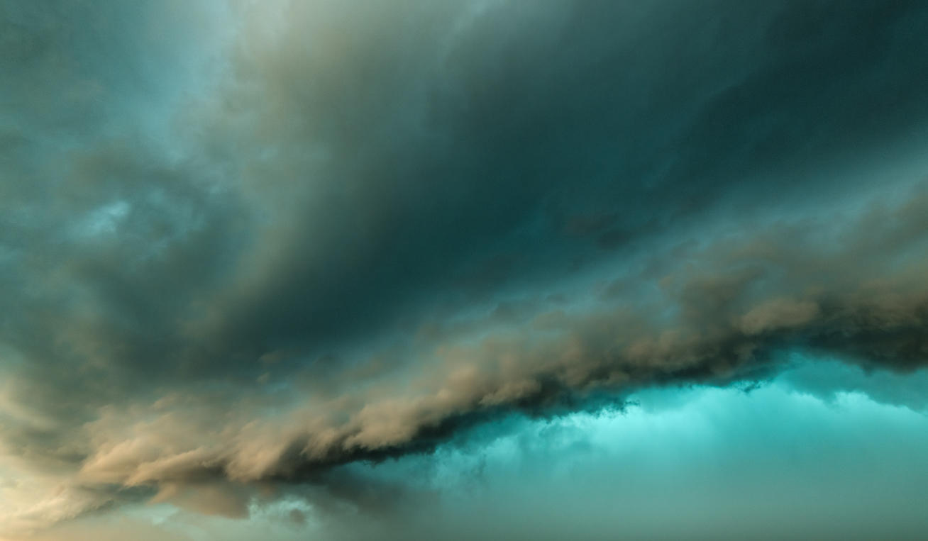 Power of Nature | Luminar Marketplace(64)