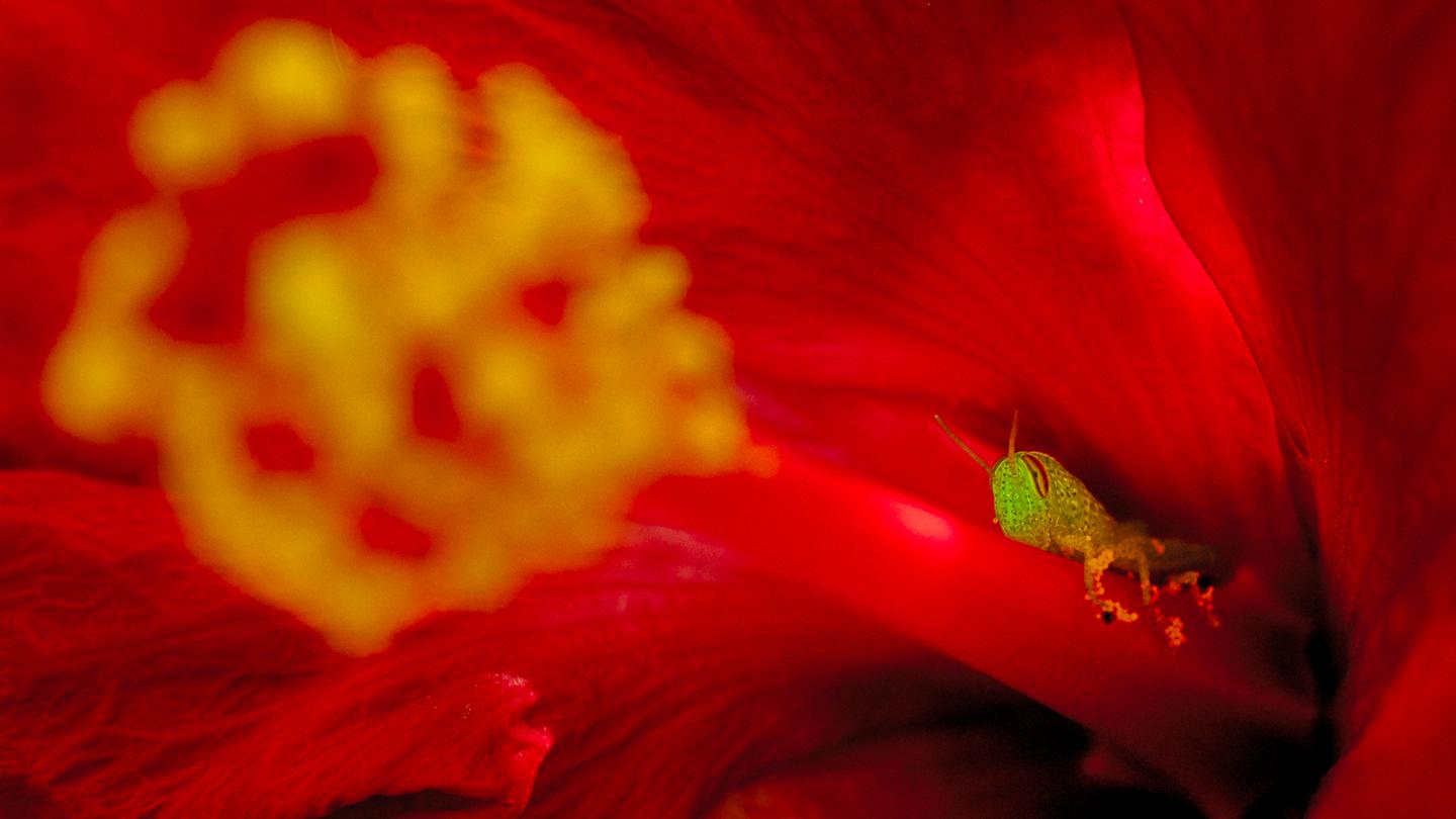 Invisible  Worlds — slide 4