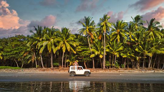 Wild Adventures image