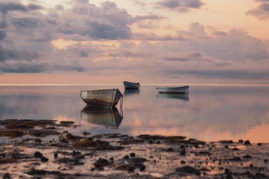 Ocean Stories image