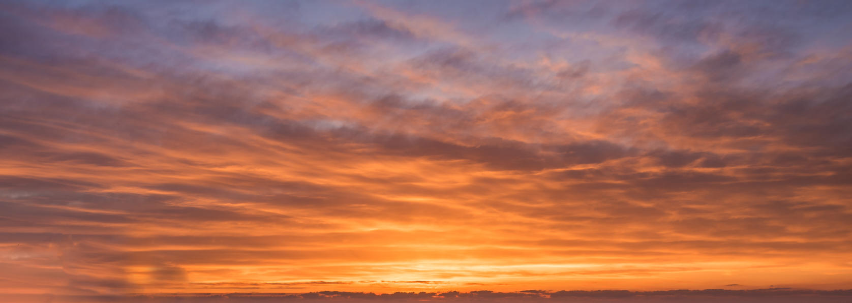 Red Sky Delight | Luminar Marketplace(48)