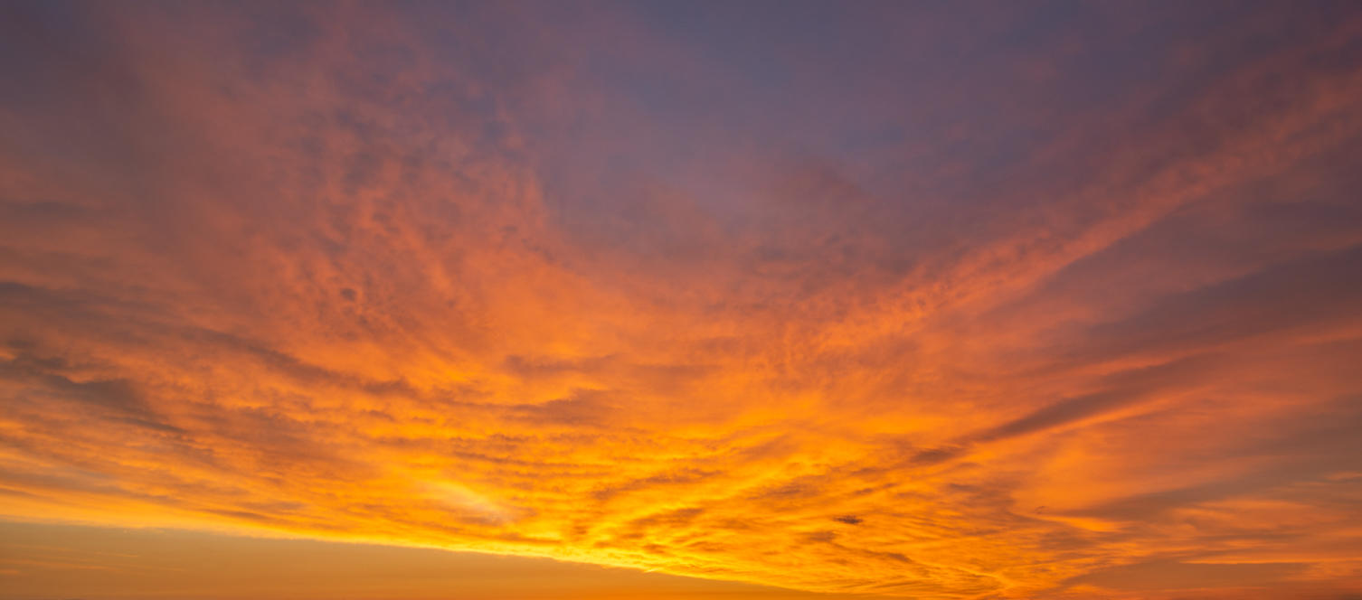 Red Sky Delight | Luminar Marketplace(50)