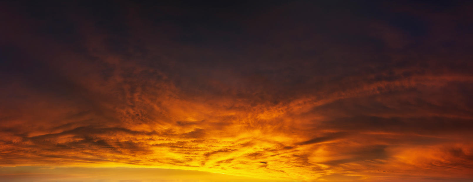 Red Sky Delight | Luminar Marketplace(55)