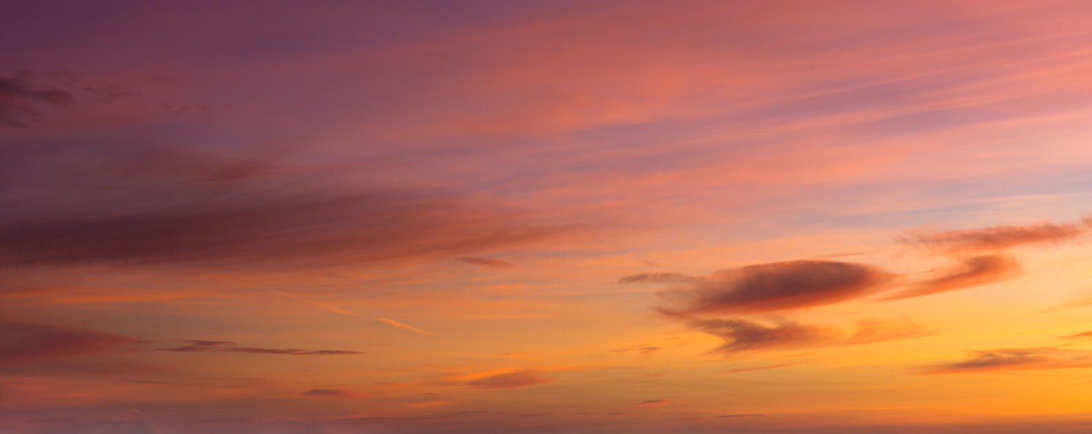 Red Sky Delight | Luminar Marketplace(62)