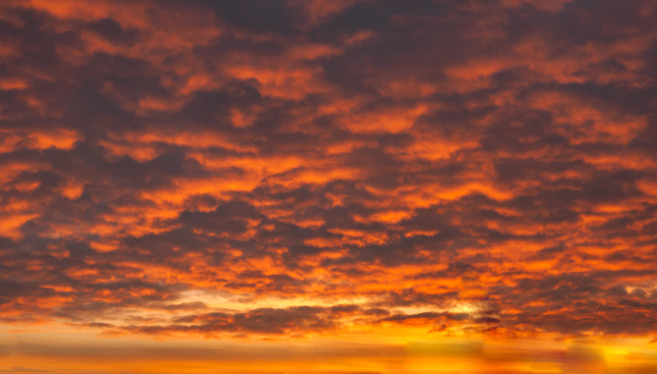 Red Sky Delight | Luminar Marketplace(64)