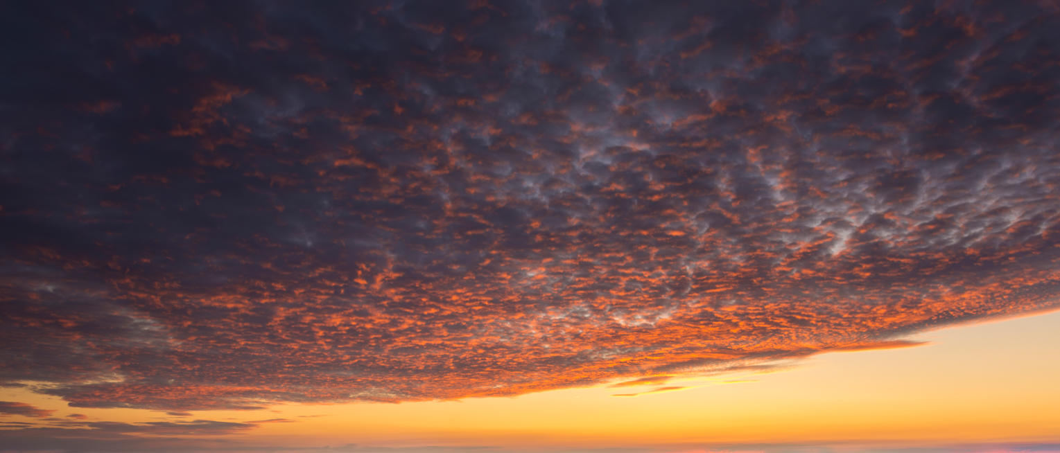 Red Sky Delight | Luminar Marketplace(67)