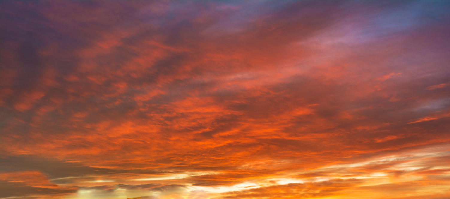 Red Sky Delight | Luminar Marketplace(68)