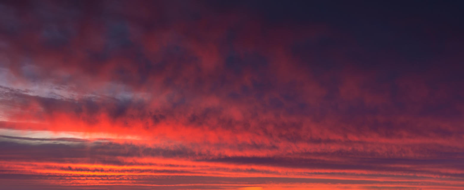 Red Sky Delight | Luminar Marketplace(69)