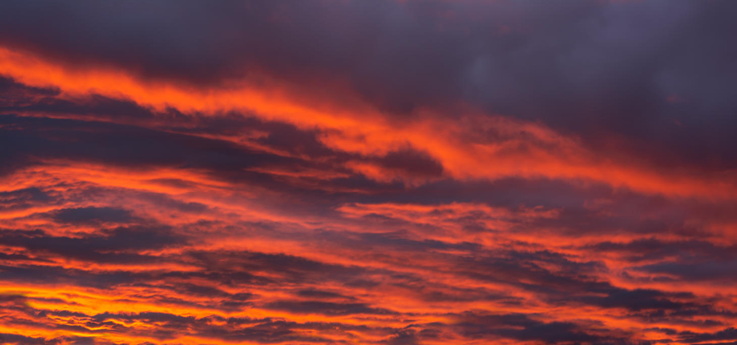 Red Sky Delight | Luminar Marketplace(71)